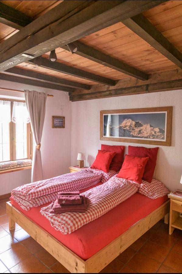 Coeur De Montagne Daire Gignod Dış mekan fotoğraf